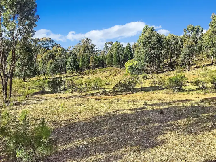Lot 162 Buckaroo Road, Mudgee NSW 2850