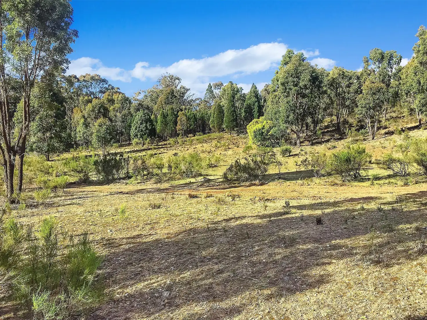 Main view of Homely rural property listing, Lot 162 Buckaroo Road, Mudgee NSW 2850