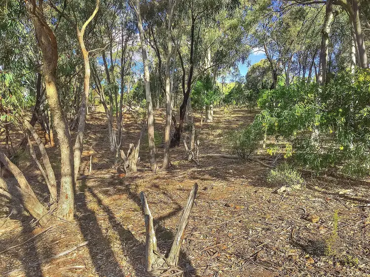 Fourth view of Homely rural property listing, Lot 162 Buckaroo Road, Mudgee NSW 2850