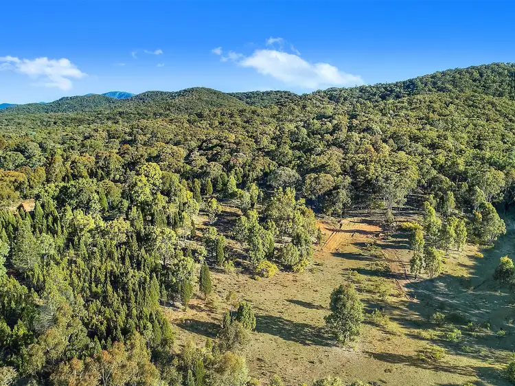 Fifth view of Homely rural property listing, Lot 162 Buckaroo Road, Mudgee NSW 2850