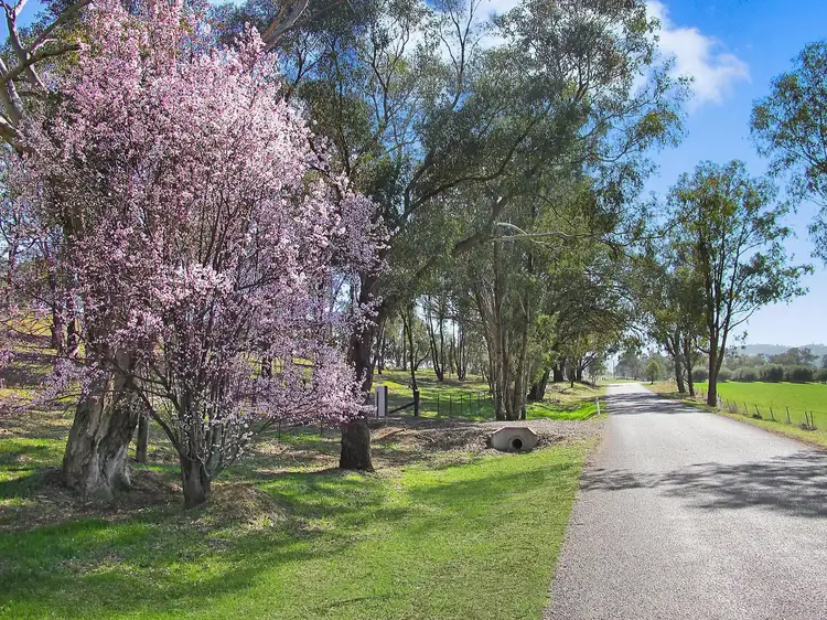 Main view of Homely rural property listing, Lot 8, 206 Lesters Lane, Mudgee NSW 2850