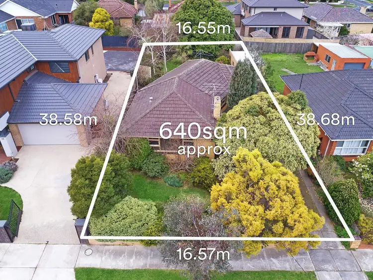 Third view of Homely house listing, 36 Harrison Street, Box Hill North VIC 3129