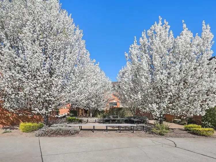 Main view of Homely apartment listing, 2/7 Coxen Street, Hughes ACT 2605
