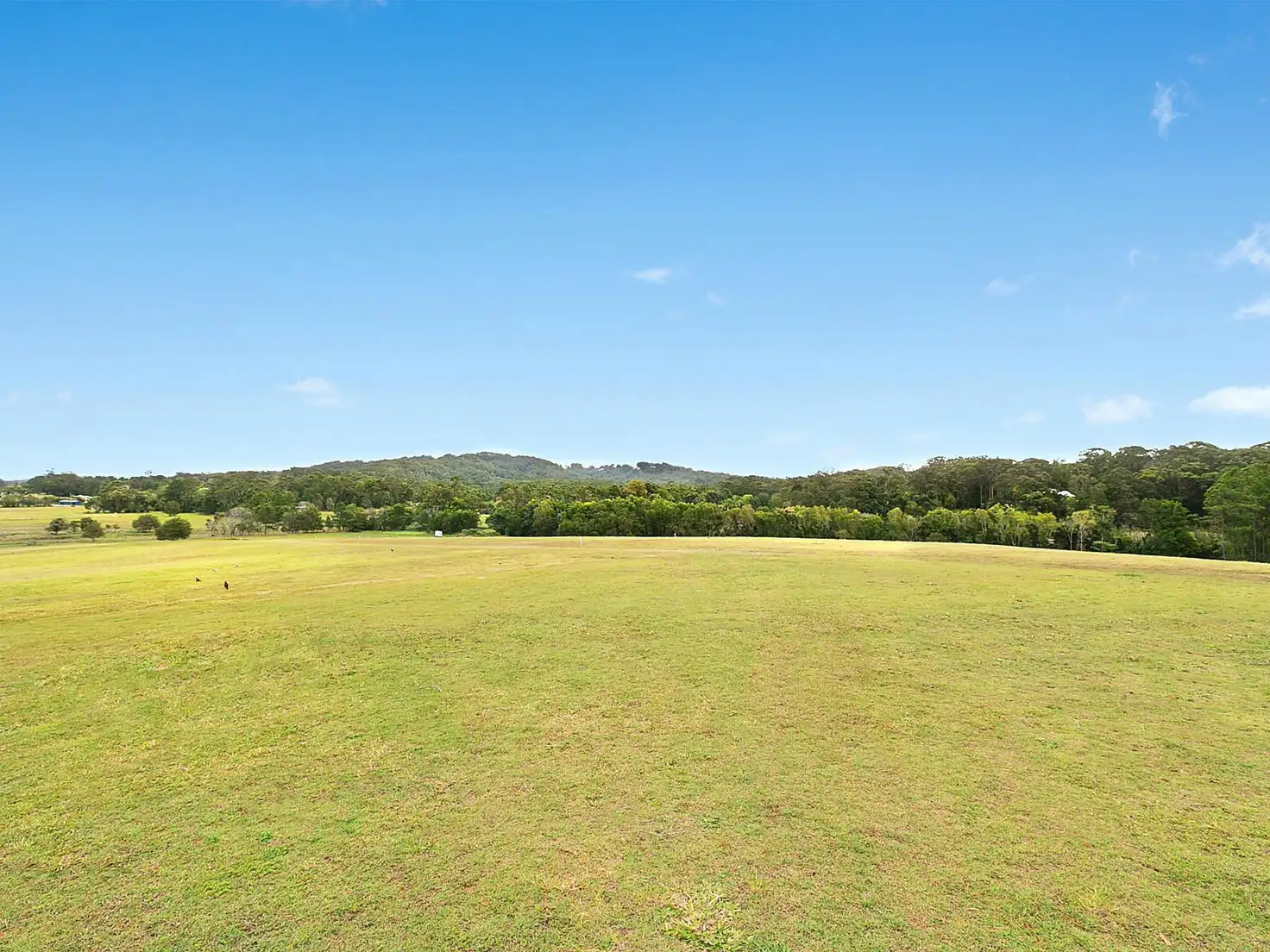 Main view of Homely land listing, 16/79 Eudlo Flats Road, Diddillibah QLD 4559