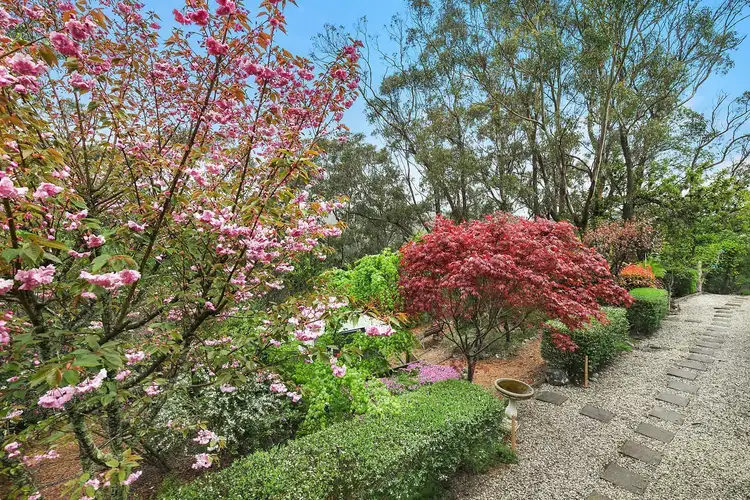 Fifth view of Homely house listing, 22 Asquith Avenue, Wentworth Falls NSW 2782