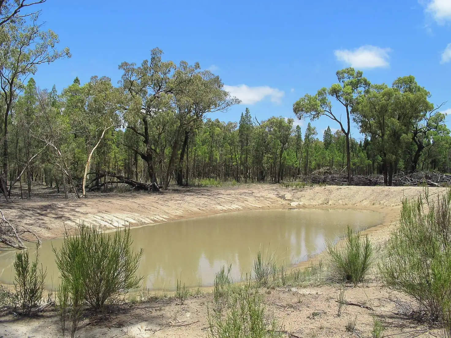 Main view of Homely rural property listing, 270 Cypress Drive, Mudgee NSW 2850