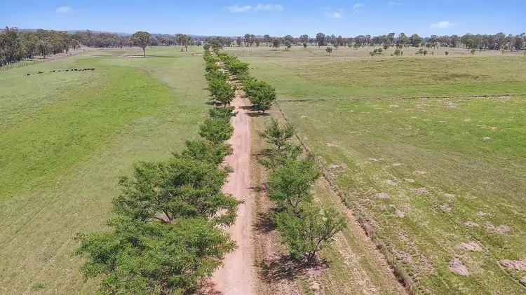 Second view of Homely rural property listing, 1566 Memerambi Gordonbrook Road, Gordonbrook QLD 4610