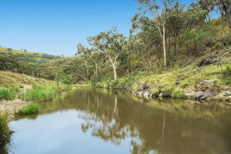 Fifth view of Homely rural property listing, 1395 Doughertys Junction Road, Mudgee NSW 2850