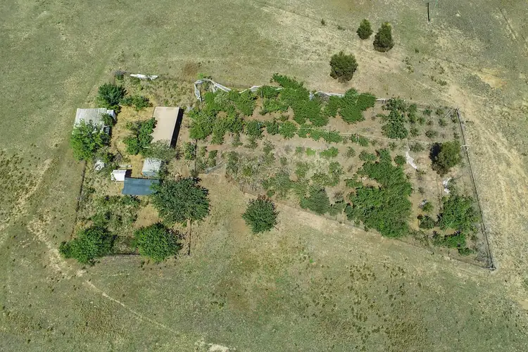 Seventh view of Homely rural property listing, 192 Buckaroo Road, Mudgee NSW 2850