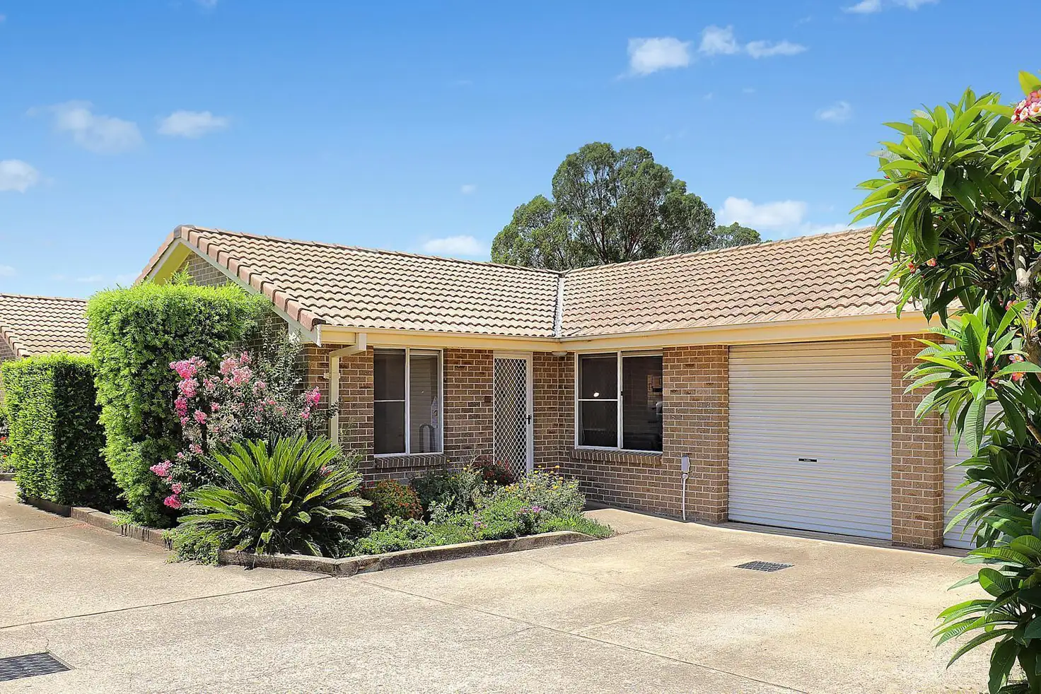 Main view of Homely villa listing, 11/105 Hammers Road, Northmead NSW 2152
