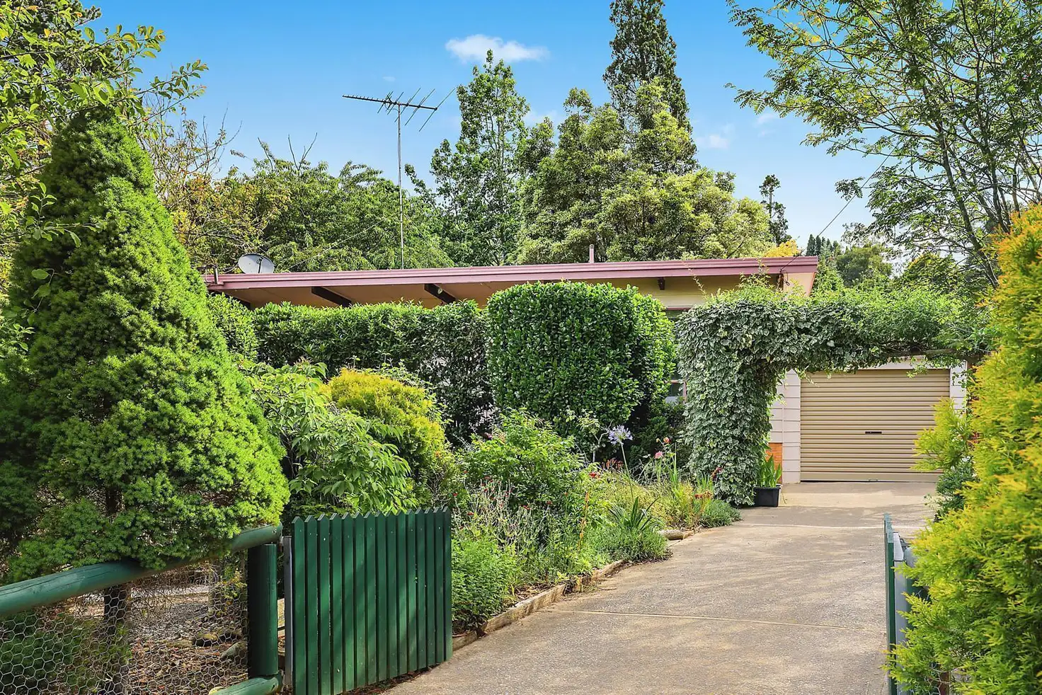 Main view of Homely house listing, 20 Yanko Avenue, Wentworth Falls NSW 2782