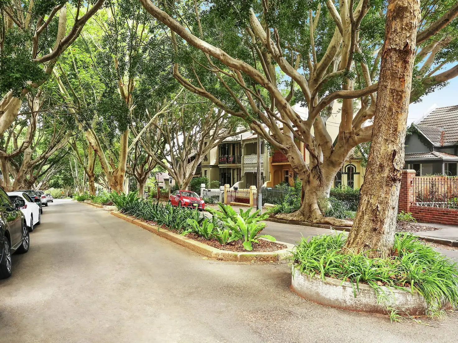 Main view of Homely house listing, 19 Arcadia Road, Glebe NSW 2037