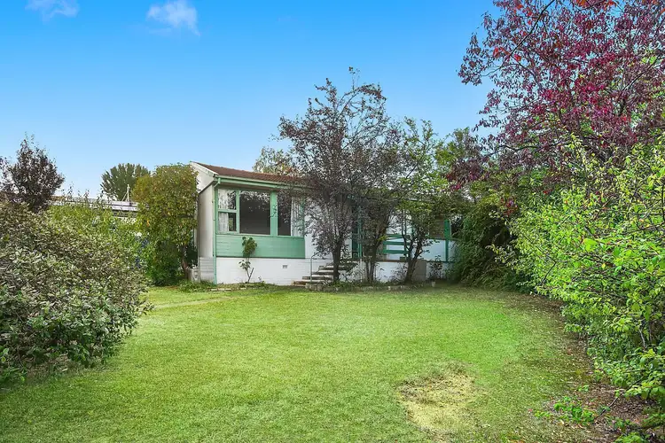 Main view of Homely house listing, 53 Cassinia Street, O'connor ACT 2602