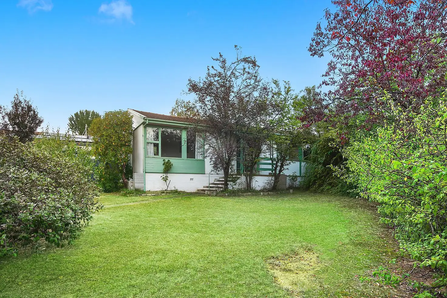 Main view of Homely house listing, 53 Cassinia Street, O'connor ACT 2602