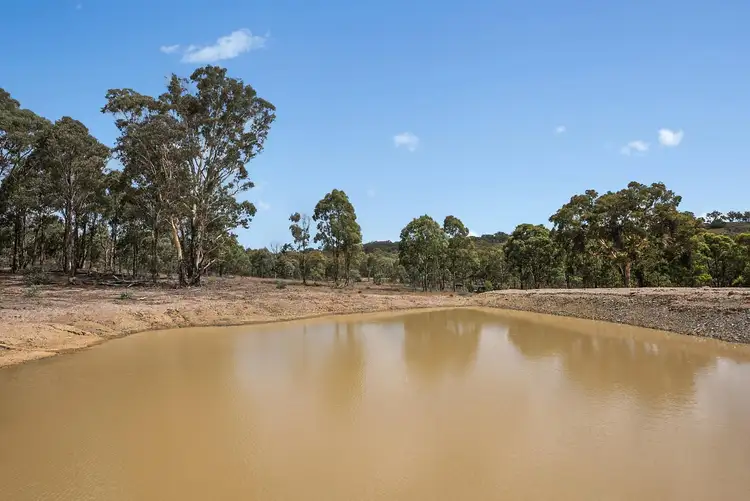 Sixth view of Homely rural property listing, 700 Sallys Flat Road, Mudgee NSW 2850