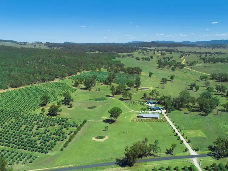Third view of Homely rural property listing, 408 Botobolar Road, Mudgee NSW 2850