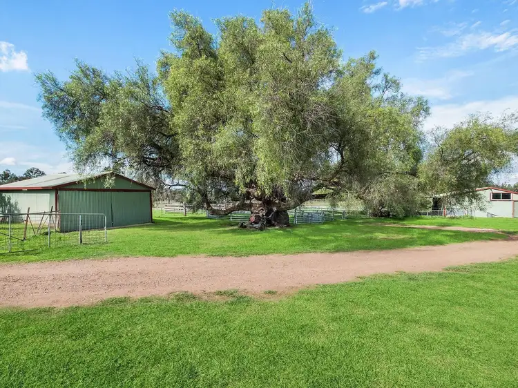 Fourth view of Homely rural property listing, Lot 9/769 Black Springs Road, Mudgee NSW 2850