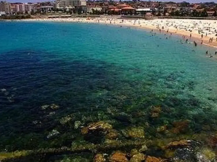 Fourth view of Homely apartment listing, 13/52 Coogee Street, Randwick NSW 2031