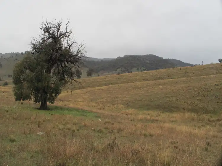 Fifth view of Homely rural property listing, 121 Sorata Lane, Mudgee NSW 2850