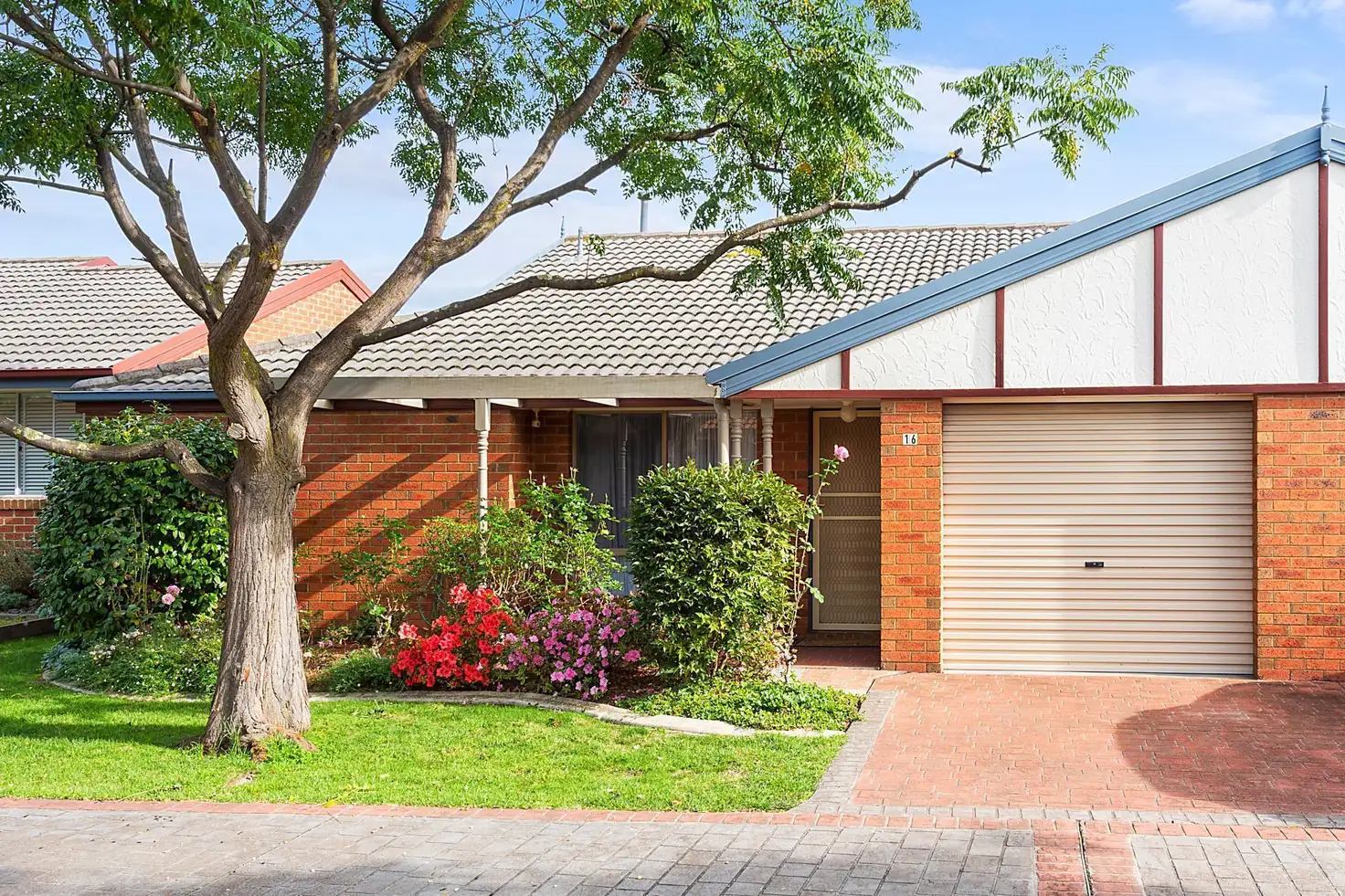 Main view of Homely unit listing, 16 Enfield Place, Forest Hill VIC 3131