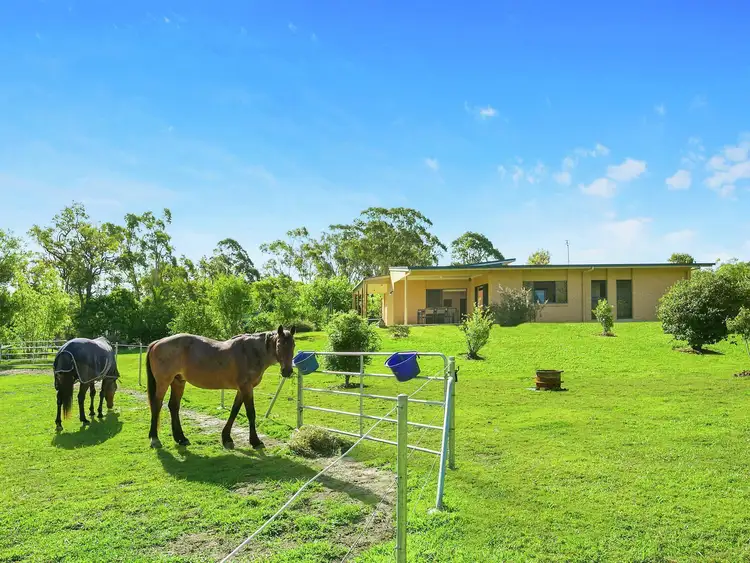 Third view of Homely house listing, 181 Hardwood Road, Landsborough QLD 4550