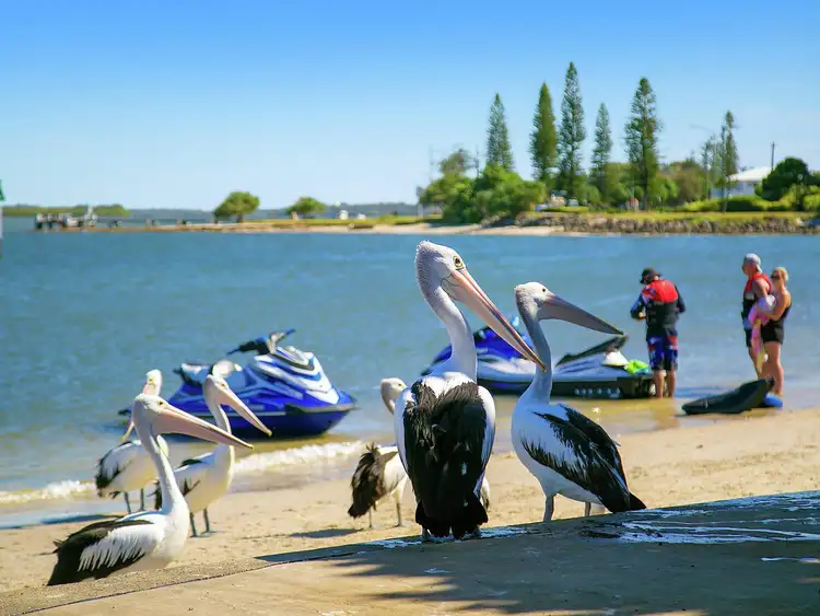 Fifth view of Homely unit listing, 10/101 Esplanade, Golden Beach QLD 4551