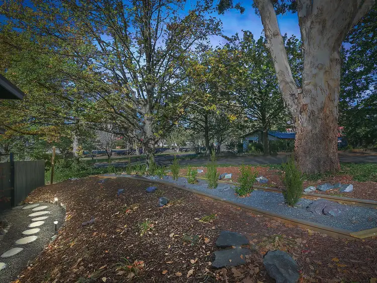 Third view of Homely house listing, 6 Quandong Street, O'connor ACT 2602