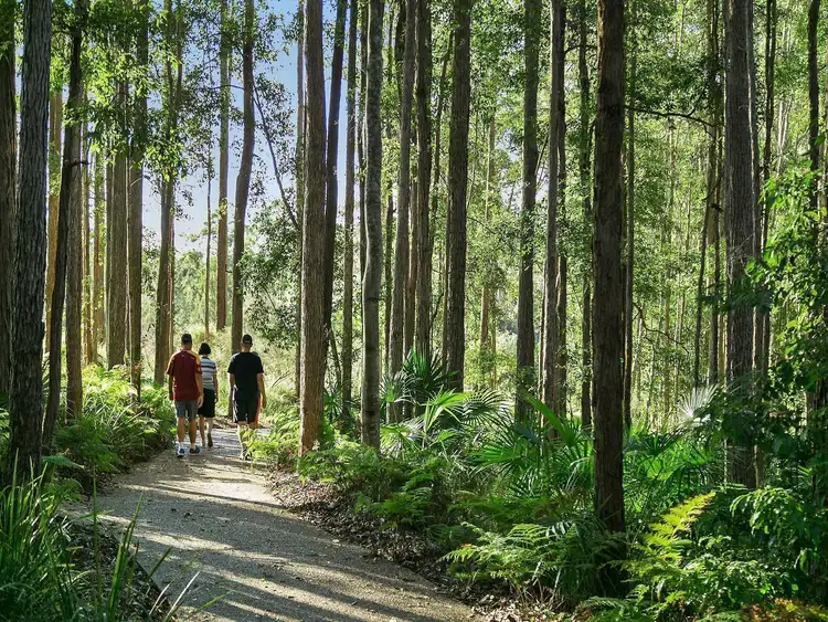 Third view of Homely unit listing, 10/25 Owen Creek Road, Forest Glen QLD 4556