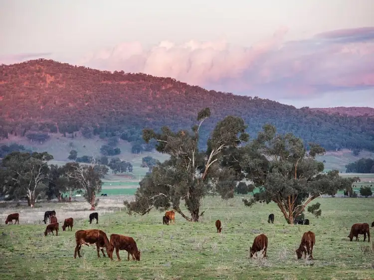 Lot 301 Stage Three Bombira Estate, Mudgee NSW 2850
