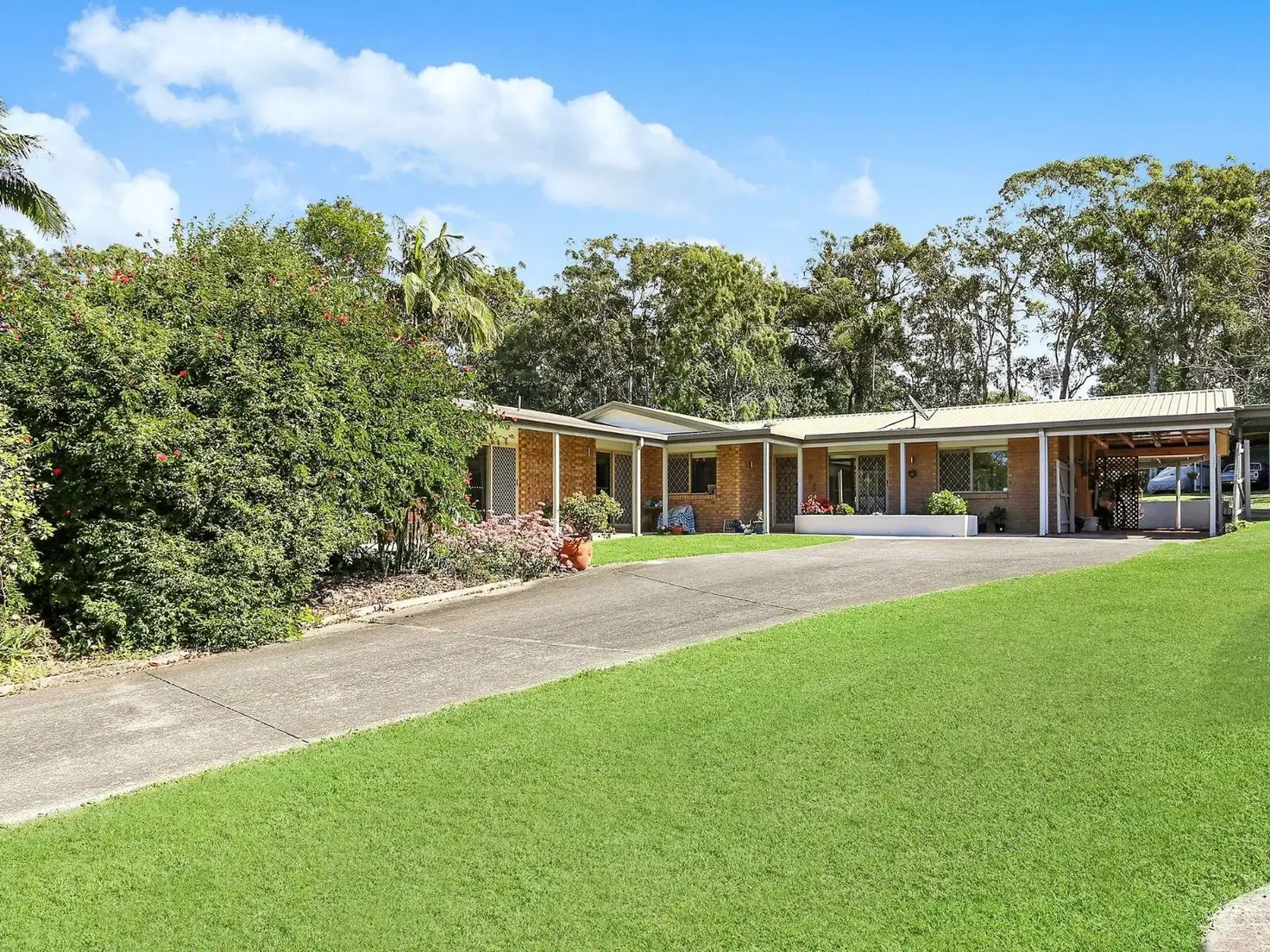 Main view of Homely house listing, 10 Flamingo Street, Little Mountain QLD 4551