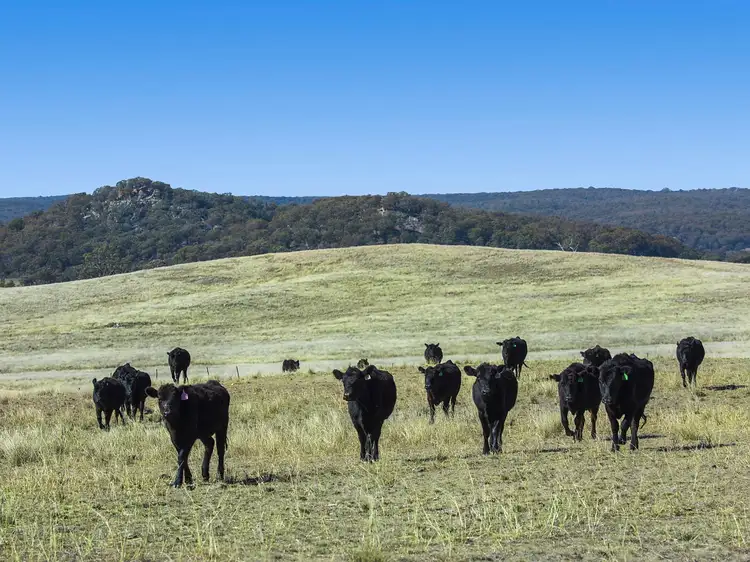 Fifth view of Homely land listing, 120 Rissler Road, Mudgee NSW 2850