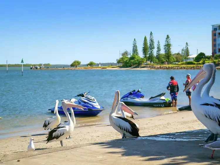 Fifth view of Homely house listing, 83 Bellanboe Circuit, Pelican Waters QLD 4551