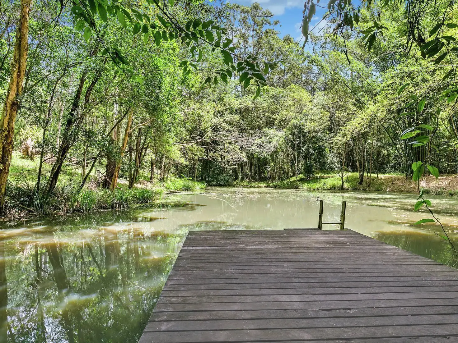 Main view of Homely house listing, 59 Killawarra Road, Lake Macdonald QLD 4563