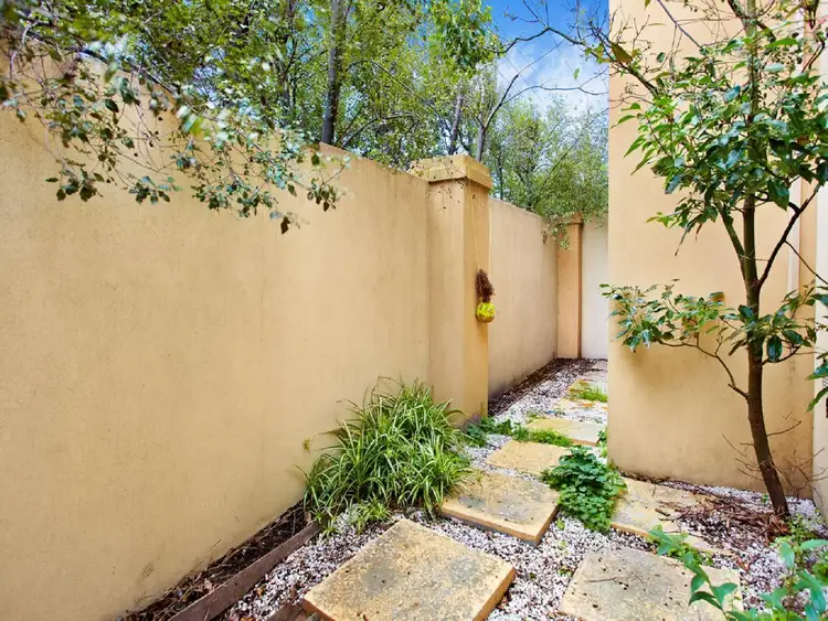 1/20 Cardigan Street