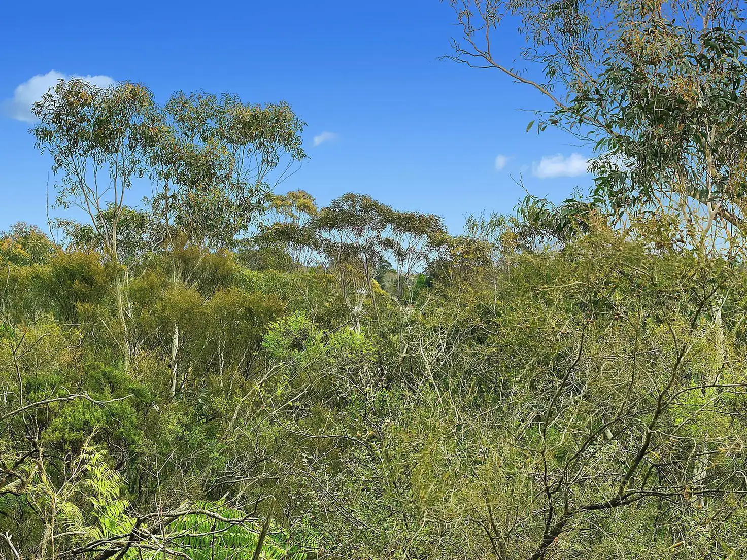 Main view of Homely land listing, 51 Leura Mall, Leura NSW 2780