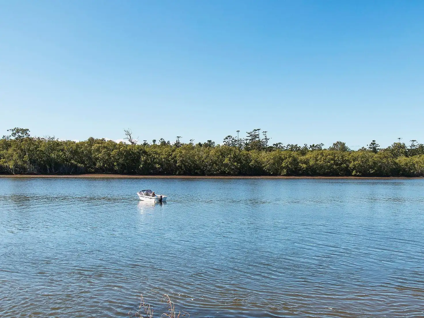 Main view of Homely rural property listing, Lot 10 Pimlico Road, Pimlico NSW 2478