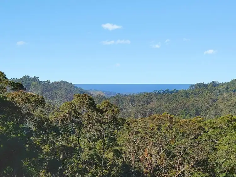 Main view of Homely rural property listing, 373A Mount Browne Road, Upper Orara NSW 2450