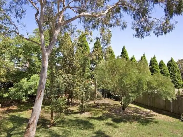 Third view of Homely apartment listing, 1/54 Bellevue Road, Bellevue Hill NSW 2023