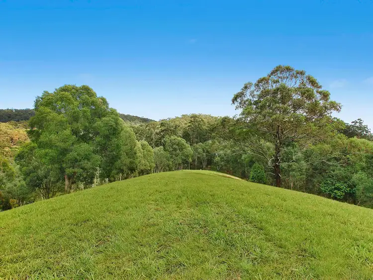 Main view of Homely rural property listing, Lot 11/545 Austinville Road, Mudgeeraba QLD 4213