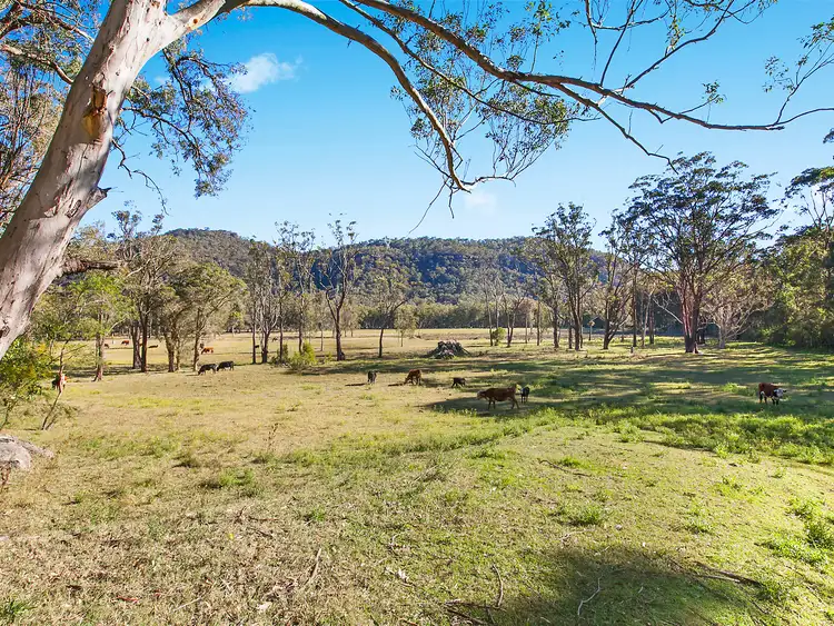 Fourth view of Homely rural property listing, 5365 Wisemans Ferry Road, Spencer NSW 2775