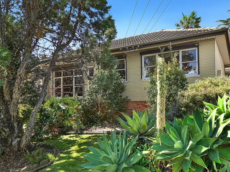 Main view of Homely house listing, 45 Buena Vista Avenue, Lake Heights NSW 2502