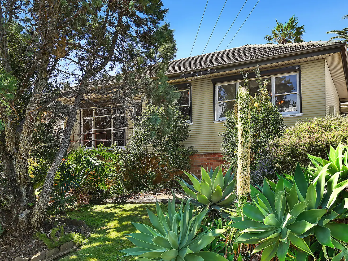 Main view of Homely house listing, 45 Buena Vista Avenue, Lake Heights NSW 2502