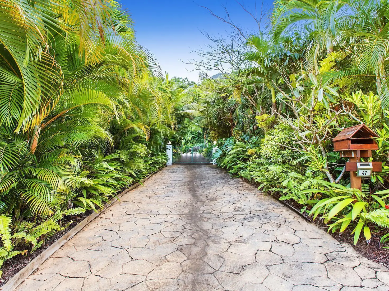 Main view of Homely house listing, 47 Terminalia Street, Redlynch QLD 4870