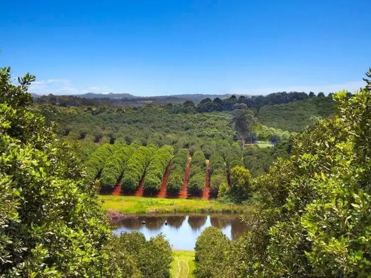 Second view of Homely rural property listing, 23 Shaws Lane, Tuckombil NSW 2477