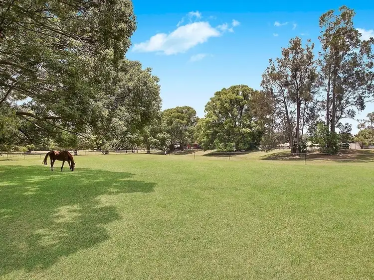 Sixth view of Homely house listing, 65 Andrews Road, Tallebudgera QLD 4228