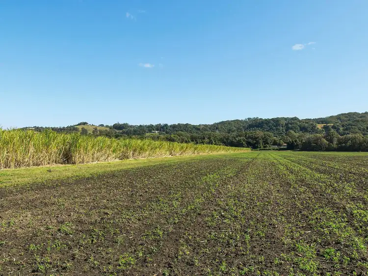 Fourth view of Homely rural property listing, Lot 10 Pimlico Road, Pimlico NSW 2478