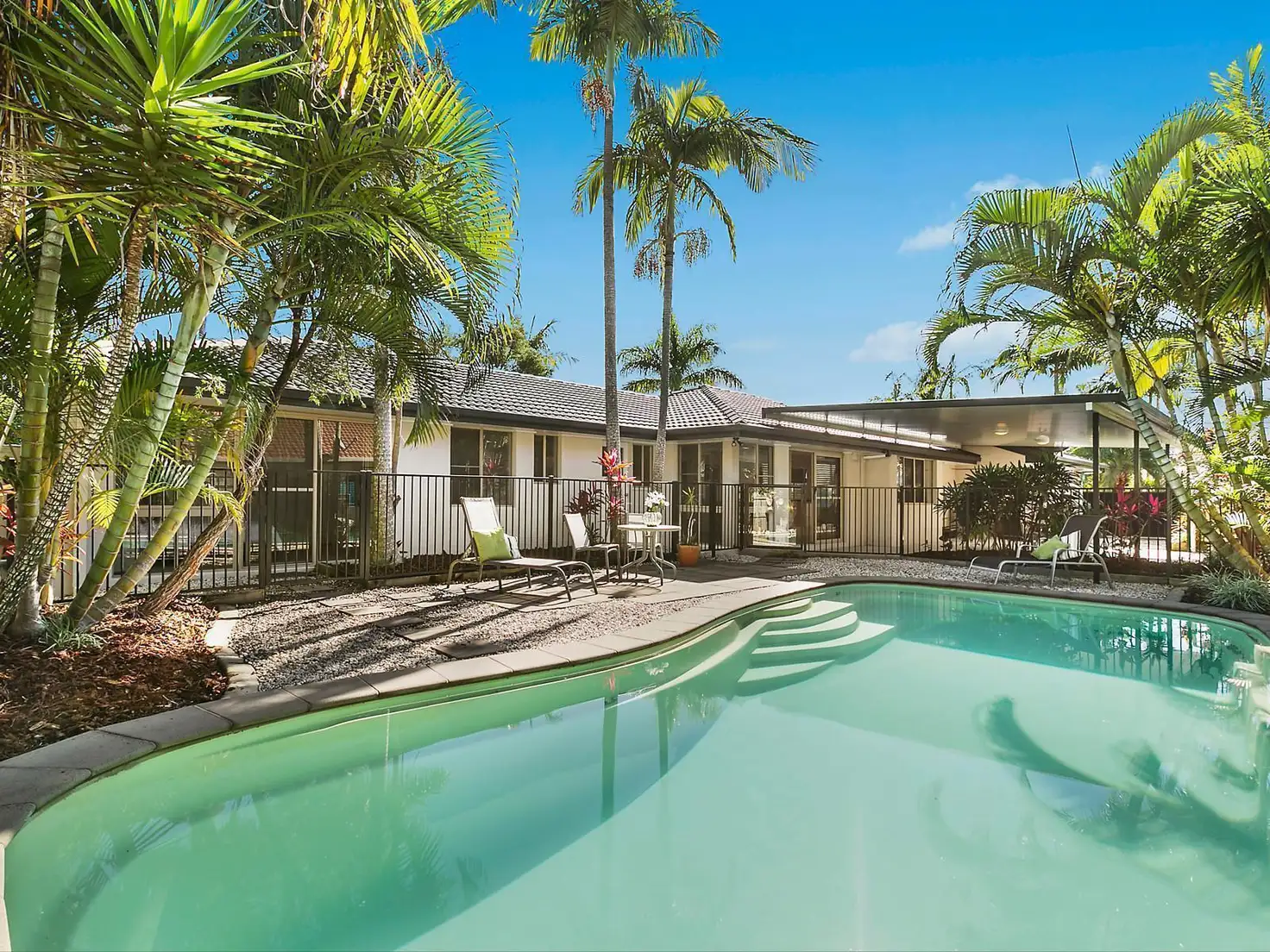 Main view of Homely house listing, 31 Saratoga Drive, Mountain Creek QLD 4557