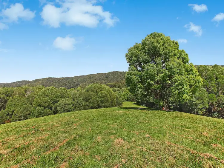 Second view of Homely rural property listing, Lot 11/545 Austinville Road, Mudgeeraba QLD 4213