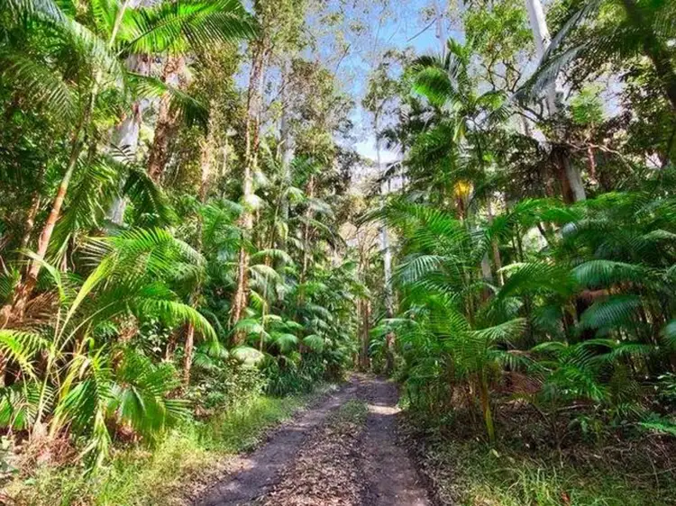 Third view of Homely rural property listing, 620 The Gap Road, Woodburn NSW 2472