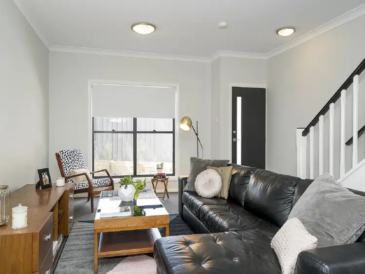4/317 Maitland Road